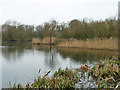 North end of Springwell Lake