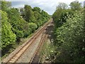 Railway at Clarbeston Road