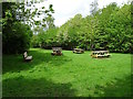 Picnic area in Coleorton Wood