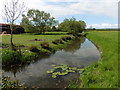 Drain near Coombe Bridge