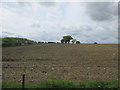 Field near Birstall