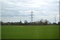 Pylon, Spring Farm