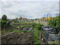 Allotments, Wymeswold