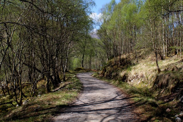 West Highland Way descent towards Kinlochleven (1)