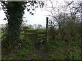 SJ4768 : Stile near Great Barrow by Dave Dunford