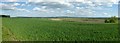 SO8137 : Panorama view of Longdon Marsh by Philip Halling