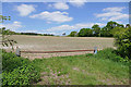 Field by the A31, Bentley