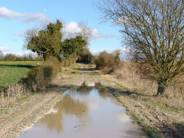 Flooded Whitedown byway