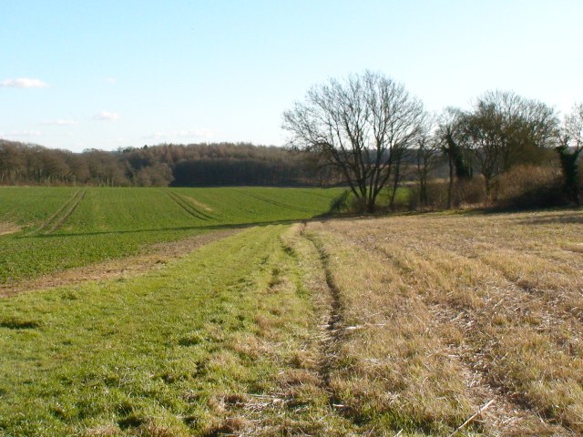 Fields south of Whitedown byway