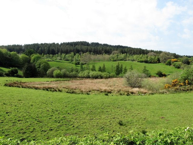 Drumlins and an inter-drumlin wet-land hollow on the west side of Tannaghmore Road