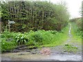 Footpath from Hoe to Umberleigh via riverbank