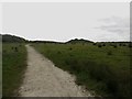 Footpath towards Northumberlandia