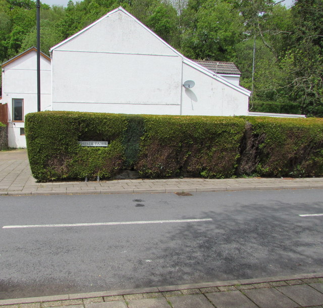Street name in a hedge, Ystradgynlais