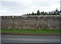 Perimeter wall, Floors Castle estate