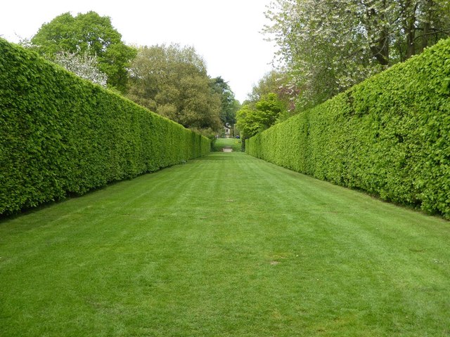 Long Walk, Hidcote Manor Gardens © Philip Halling :: Geograph Britain ...