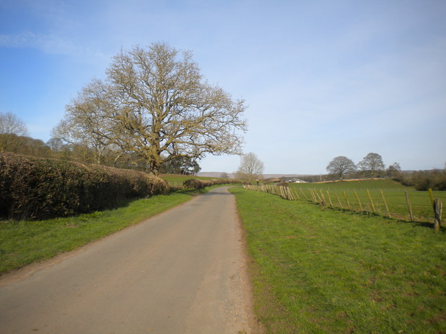 Road south east of Kirkoswald