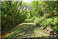 Trackbed of the Halwill to Launceston Branch