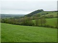 Woodland north of Hoe and the Taw valley seen from below Whey Farm