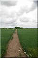 Footpath to Baker