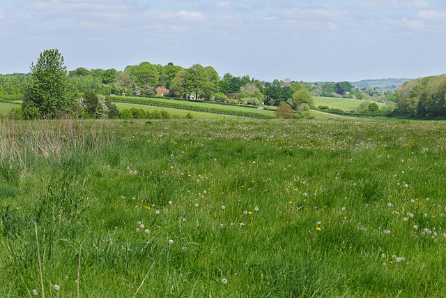 Countryside near Dippenhall