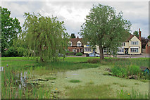 TL7805 : Pond near Eve's Corner, Danbury by Roger Jones