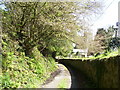 St Issells graveyard, Saundersfoot - lane at side