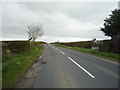 National Cycle Route 1 leaving Ednam