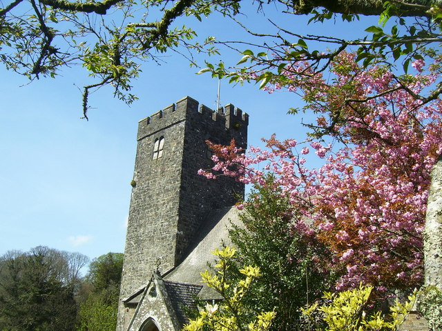 St Issells Church, Saundersfoot - blossom