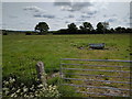 Field near Blakeway Bridge