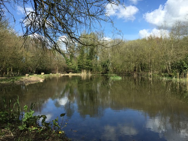 Bateswood Country Park: pond in Podmore... © Jonathan Hutchins cc-by-sa ...