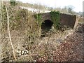 Bridge over the Thames and Severn Canal