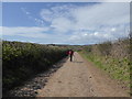 Walking on Oxwich Point near the castle