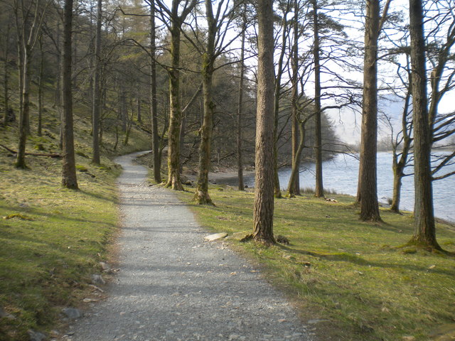 Path in Burtness Wood (2)