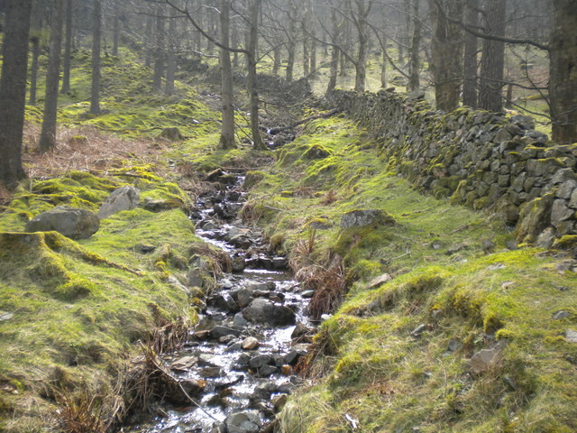 Stream in Burtness Wood