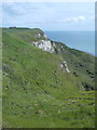 SY7681 : Holworth: the grassy cliffs of White Nothe by Chris Downer