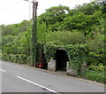 Ivy-clad phonebox and bus shelter, Ystradgynlais