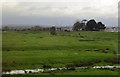 View to The Turf Inn