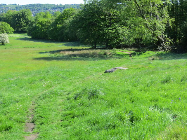 Footpath - Millennium Way - descending to Shipley Golf Course