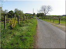 H5475 : Cloghan Road, Streefe Glebe by Kenneth  Allen