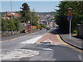 Newsome Road - viewed from Stile Common Road