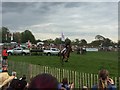 ST8083 : Badminton Horse Trials 2016: Oliver Townend and Armada by Jonathan Hutchins