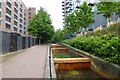 Path to Wapping Woods