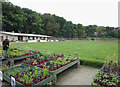 Stackpole Walled Garden