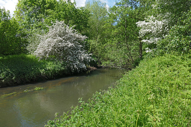 River Blackwater near Yateley