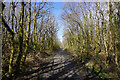 Bike path to Gowerton