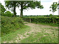 Corner of field by footpath at Ote Hall Farm