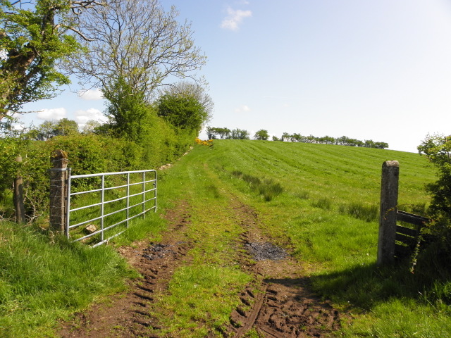 An open field, Drumnakilly