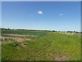 Carr House farmland near Belton