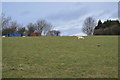 Farmland, Rigton Lodge