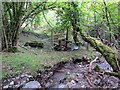 Llwybr Cwm Llynfe Isaf / Cwm Llynfe Isaf path